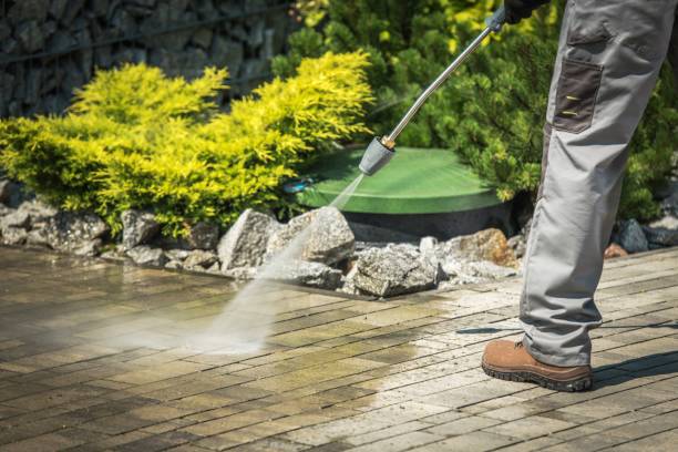 Best Pool Deck Cleaning  in , WV