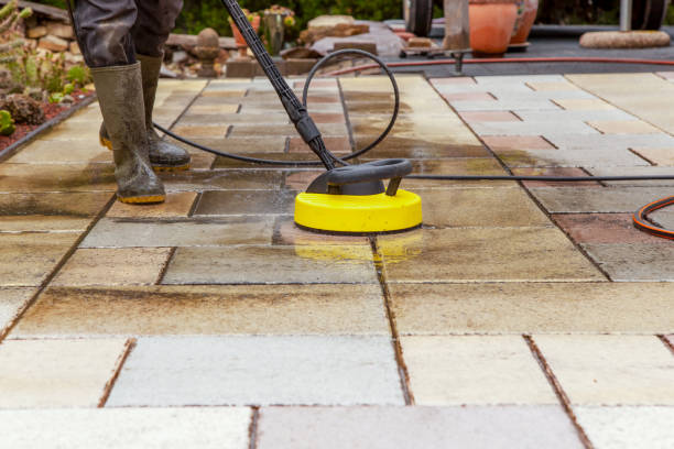Best Dumpster Area Cleaning  in , WV